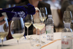 13.-En-Primeur-mladih-malvazija_04