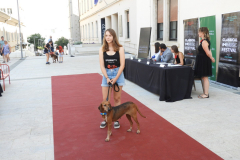 DSCN6671_1