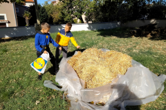 IMG_20211016_104116