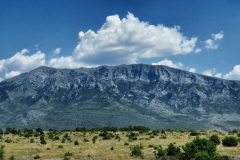 dinara-srecko-vukov-12