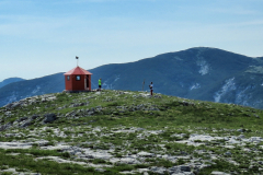 dinara-srecko-vukov-16