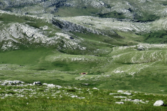 dinara-srecko-vukov-17