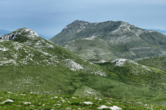 dinara-srecko-vukov-18
