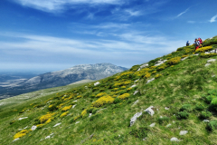 dinara-srecko-vukov-19