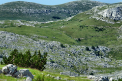 dinara-srecko-vukov-21