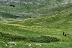 dinara-srecko-vukov-22