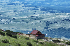 dinara-srecko-vukov-29