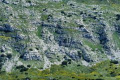 dinara-srecko-vukov-30