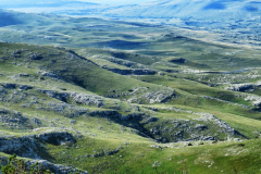 dinara-srecko-vukov-34