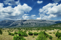 dinara-srecko-vukov-38