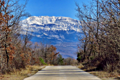 dinara-srecko-vukov-44