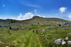 dinara-srecko-vukov-6