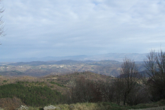 DSCF0827