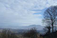 DSCF0828