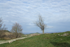 DSCF0832