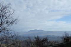 DSCF0844