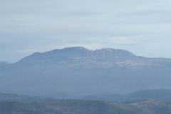 DSCF0850