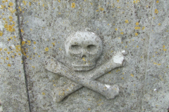 DSCF0857