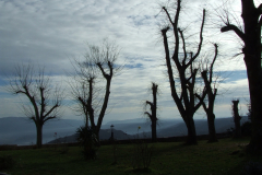 DSCF0858