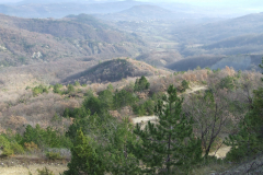 DSCF0888