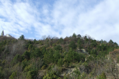DSCF0900