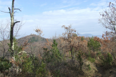 DSCF0908
