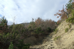 DSCF0915