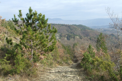 DSCF0916