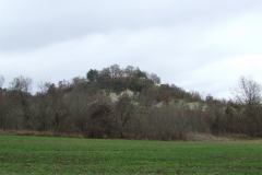 DSCF0935