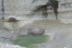DSCF0954