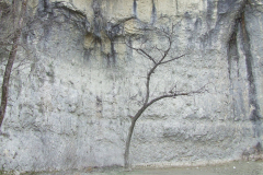DSCF0959