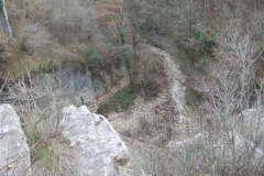 DSCF0960