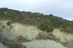 DSCF0975