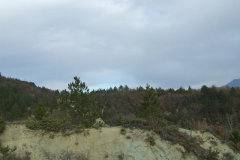 DSCF0976