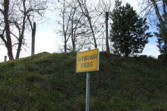 DSCF0990