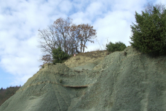 DSCF0991