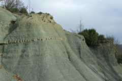 DSCF0996