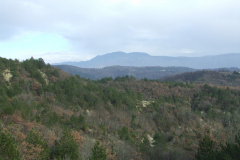 DSCF0997