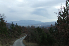 DSCF1001