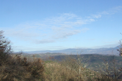 DSCF1029