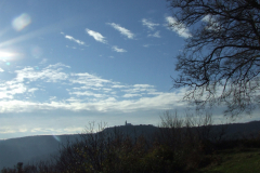 DSCF1030