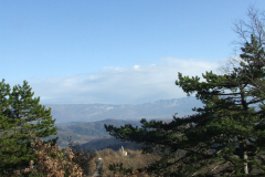 DSCF1035
