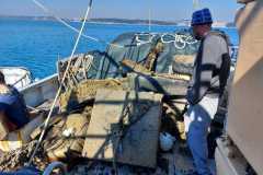 IMG-77100d4a5720827b8e4dbb016cf0f0c3-V-003