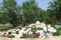 DSCF2265