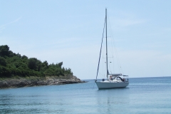 DSCF2379