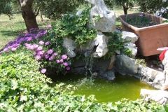 DSCF2400