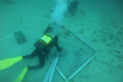 DCIM\100GOPRO\GOPR4040.JPG