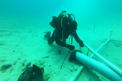 DCIM\100GOPRO\GOPR0261.JPG