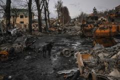 kijev-i-ukrajina-stradavanje-civila-39