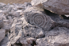 000001-36